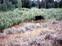 photos 2000-200900331